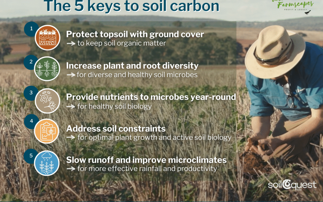 The 5 keys to soil carbon_SoilCQuest_website download