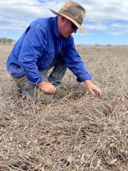 Alex Wood checking moisture & soil surface infiltration conditions pre sowing intercrop canola arrowleaf trial April 2021